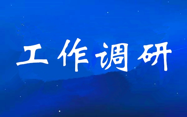 强盛一行赴西咸新区空港新城进行调查调研