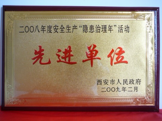 2009年2月，被西安市人民当驹炖为2008年度安全出产“隐患治理年”活动先进单元